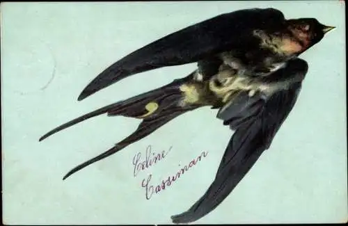 Ak Schwalbe im Flug, Vogel