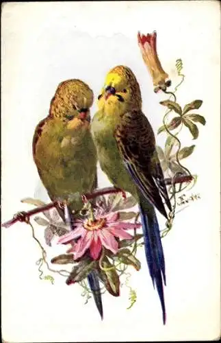Künstler Ak Eudes, Zwei Papageien, Blume