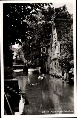 Ak Erbach im Odenwald Hessen, An der Mümling, Vögel auf dem Fluss, Brücke