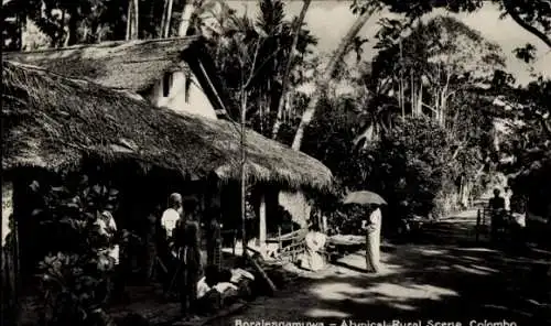 Ak Boralesgamuwa Colombo Ceylon Sri Lanka, eine typische ländliche Szene