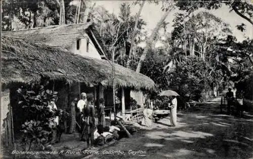 Ak Colombo Ceylon Sri Lanka, Boralesgamuwat, eine ländliche Szene