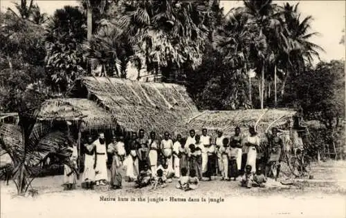 AK Sri Lanka Ceylon, Ureinwohnerhütten im Dschungel