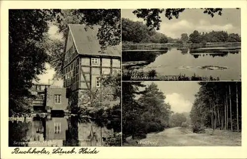 Ak Buchholz in der Nordheide, Waldweg, Mühlenteich, Seppensener Mühle