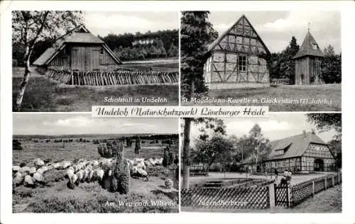 Ak Undeloh in der Lüneburger Heide, Schafstall, St. Magdalena-Kapelle, Glockenturm, Jugendherberge