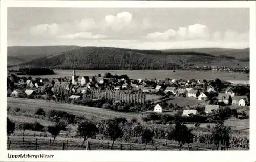 Ak Lippoldsberg Bodenfelde in Niedersachsen, Panorama