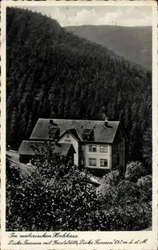 Ak Braunlage im Oberharz, Dicke Tannen, Gaststätte Dicke Tannen