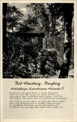 Ak Bad Harzburg am Harz, Burgberg, 1000jähriger Kaiserbrunnen Heinrichs IV