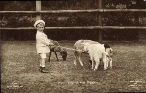 Ak Prinz Hubertus von Preußen, Kinderportrait, Ziegen, Liersch 7188