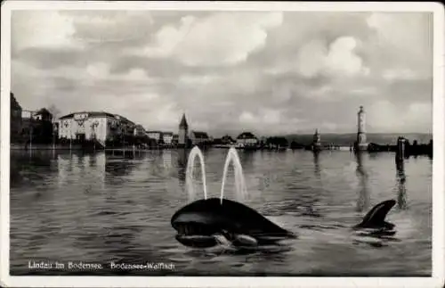 Ak Lindau am Bodensee Schwaben, Bodensee-Walfisch