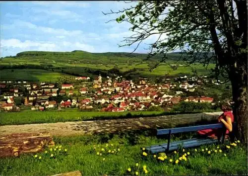 Ak Hilders in der Rhön, Buchschirmküppel, Haus der Jugend, Panorama