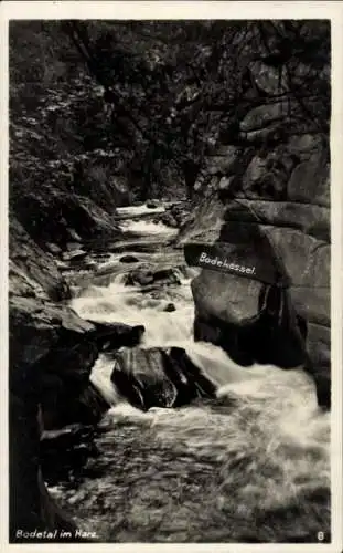 Ak Thale im Harz, Bodetal, Bodekessel