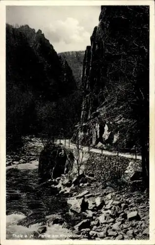 Ak Thale im Harz, Partie am Kronensumpf