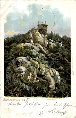 Ak Blankenburg am Harz, Großvater