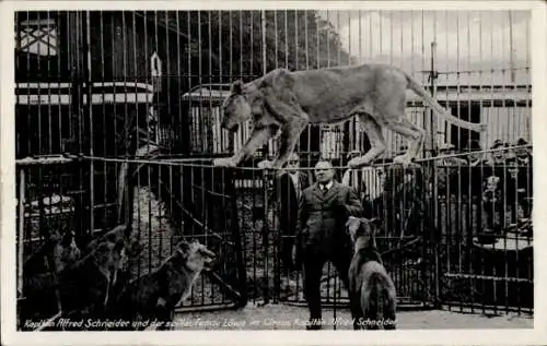 Ak Kapitän Alfred Schneider, Löwe, Zirkus, Dressur