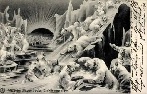 Ak Wilhelm-Hagenbecks-Eisbärengruppe