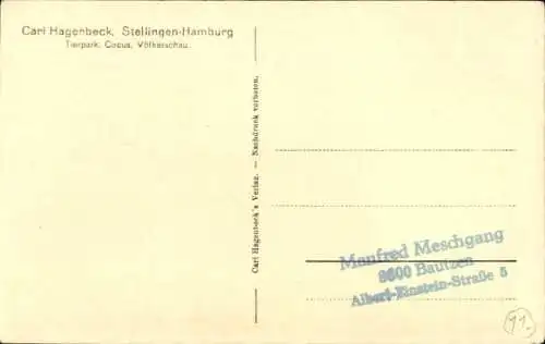 Ak Hamburg Stellingen, Carl Hagenbeck, Tierpark, Zirkus, Völkerschau, Akrobaten