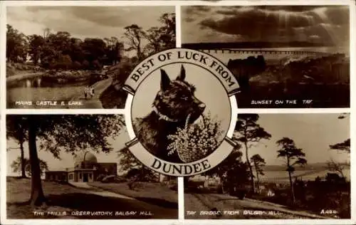 Ak Dundee Schottland, Observatorium, Hund, Partie am See