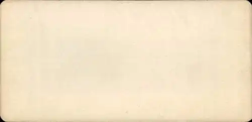 Stereo Foto Oliva Gdańsk Danzig, Schloss und Kloster