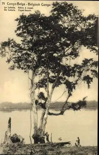 10 alte Ak Congo Belge, Belgisch Congo, diverse Ansichten
