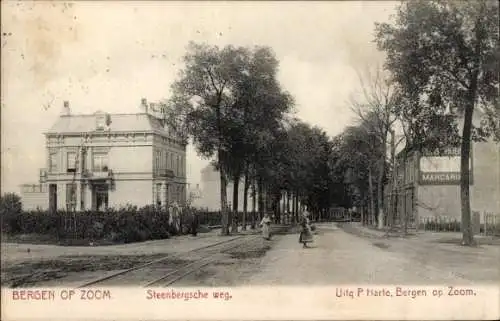 Ak Bergen op Zoom Nordbrabant Niederlande, Steenbergsche weg