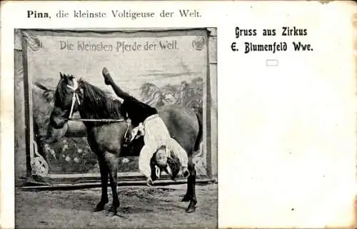 Ak Zirkus E. Blumenfeld Wwe., Pina, die kleinste Voltigeuse der Welt
