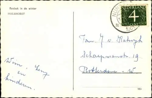 Ak Hulshorst, Junger Hirsch, Winter, Wald