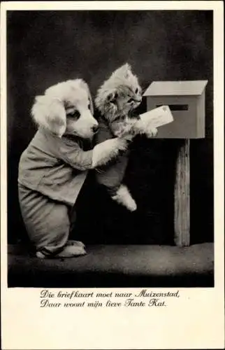 Ak Vermenschlichte Katze und Hund werfen einen Brief in den Briefkasten