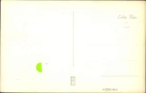 Ak Katze, Tierportrait