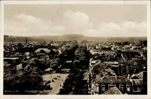 Ak Bonn am Rhein, Poppelsdorfer Allee