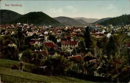 Ak Bad Harzburg am Harz, Gesamtansicht