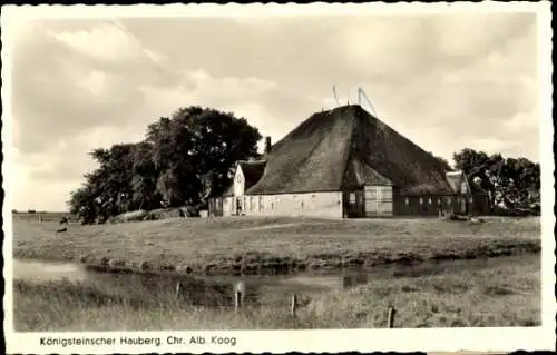 Ak Christian Albrechts Koog Galmsbüll in Nordfriesland, Königsteinscher Hauberg