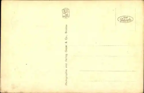 Ak Löbau in Sachsen, Teilansicht, Löbauer Berg