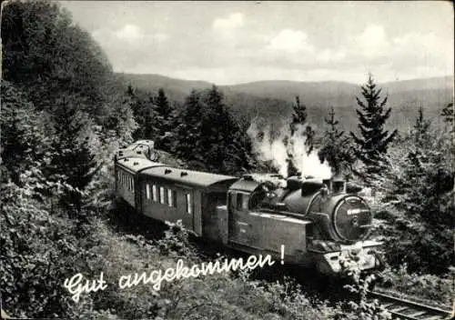 Ak Deutsche Eisenbahn, Bahnschienen, Wald, Gut angekommen