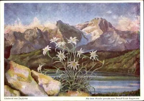 Künstler Ak Stegmänn, A. E., Edelweiß