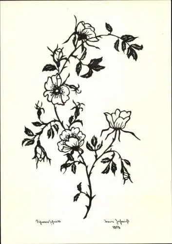 Scherenschnitt Künstler Ak Blühende Blumen, Dorne