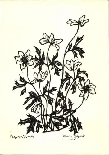 Scherenschnitt Künstler Ak Blühende Blumen, Blüten