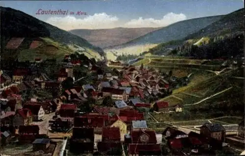 Ak Lautenthal Langelsheim im Oberharz, Gesamtansicht