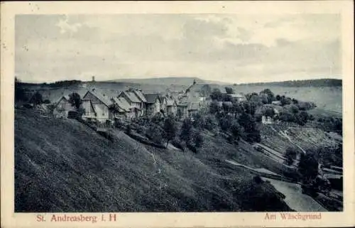 Ak Sankt Andreasberg Braunlage im Oberharz, Am Wäschgrund