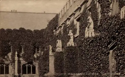 Ak Oxford Oxfordshire England, Magdalen College, Wasserspeier