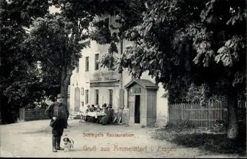 Ak Ammelsdorf Dippoldiswalde im Erzgebirge, Schlegels Restaurant, Hund