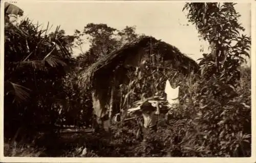 Ak São Paulo Brasilien, Colonos no Interior do Estado, Haus