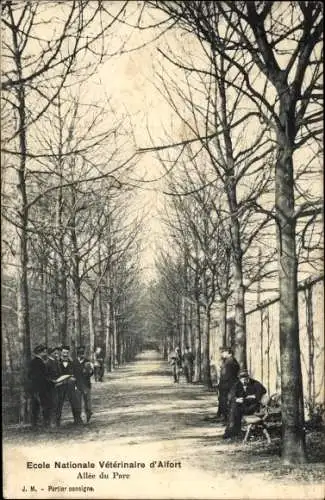 Ak Alfort Val de Marne, Ecole Nationale Veterinaire, Allee du Parc