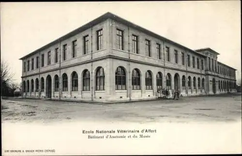 Ak Alfort Val de Marne, Ecole Nationale Veterinaire d'Alfort, Batiment d'Anatomie et du Musee
