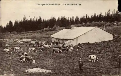 Ak Longevilles Mont d'Or Doubs, Barthelette, Rinderweide