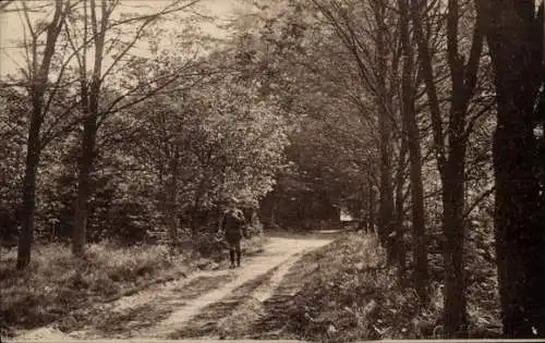 Ak Vluynbusch Neukirchen Vluyn am Niederrhein, Littards-Wald