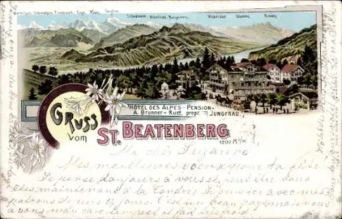 Litho Beatenberg Kanton Bern, Hotel des Alpes-Pension, Gebirge