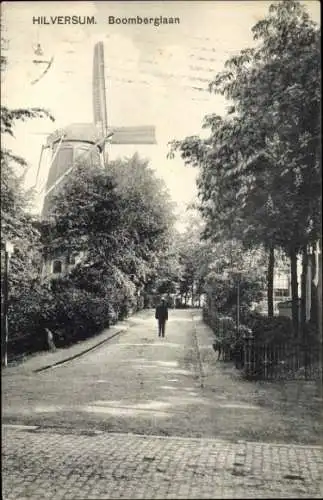 Ak Hilversum Nordholland Niederlande, Boomberglaan, Molen