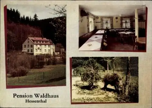 Ak Hessenthal Mespelbrunn im Spessart, Pension Waldhaus, Wildschwein, Gastraum