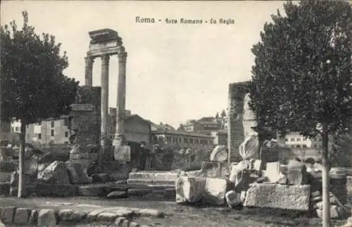 Ak Rom Lazio, Fore Romano, La Regia