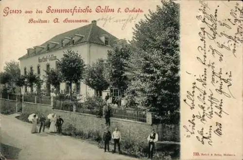 Ak Collm Wermsdorf in Sachsen, Gasthof Collm